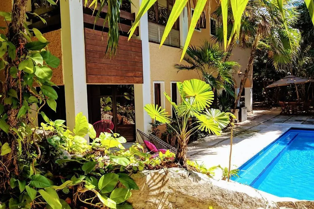 Steps To Ocean Huge Beach Villa Private Pool In Exclusive Fase 1 Playacar Πλάγια Ντελ Κάρμεν 0*,