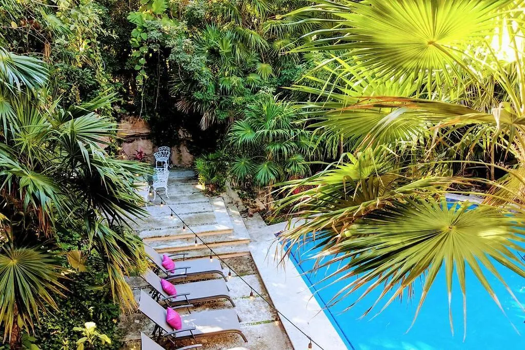 Steps To Ocean Huge Beach Villa Private Pool In Exclusive Fase 1 Playacar Πλάγια Ντελ Κάρμεν