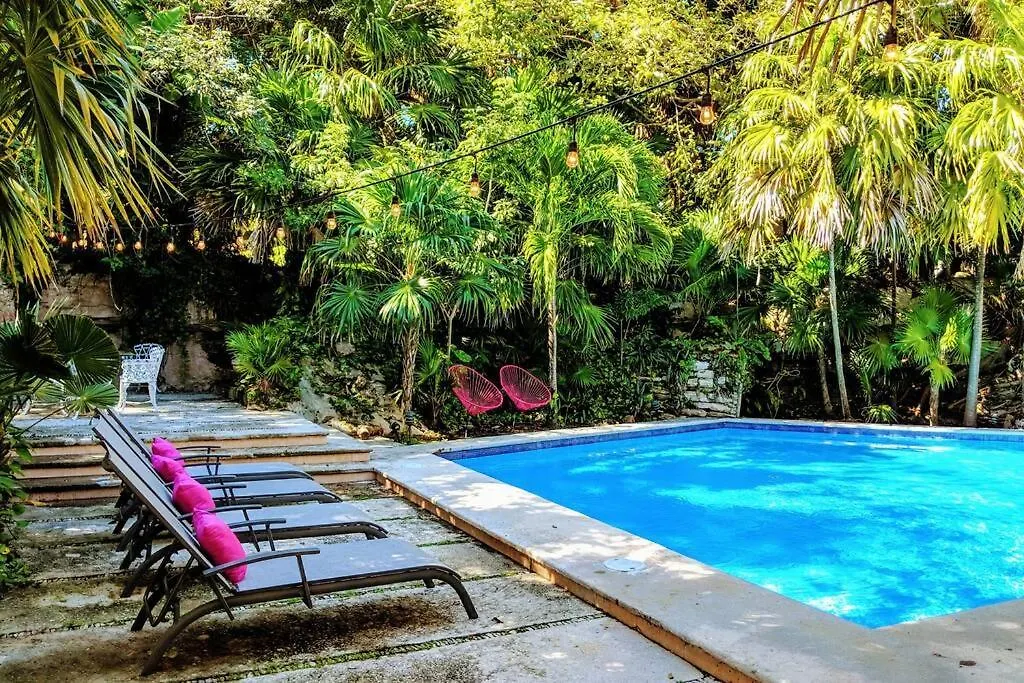 Steps To Ocean Huge Beach Villa Private Pool In Exclusive Fase 1 Playacar Πλάγια Ντελ Κάρμεν